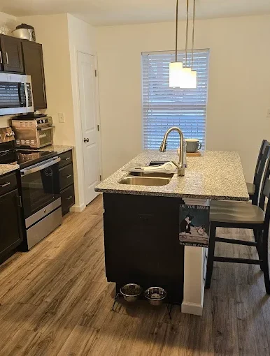 Professional Kitchen Appliance Detailing