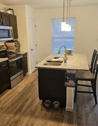 Professional Kitchen Appliance Detailing