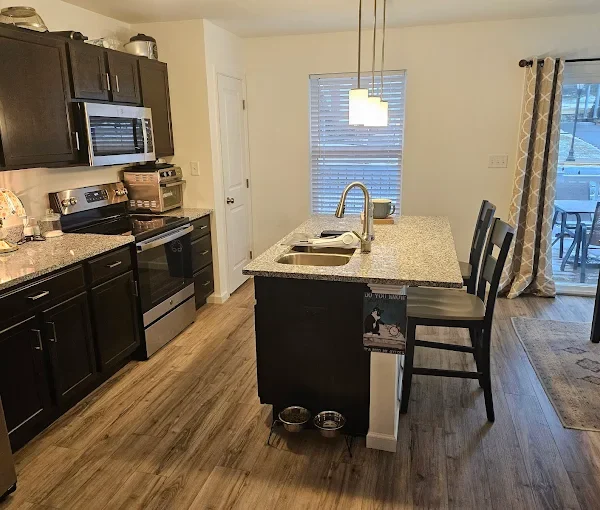 Professional Kitchen Appliance Detailing