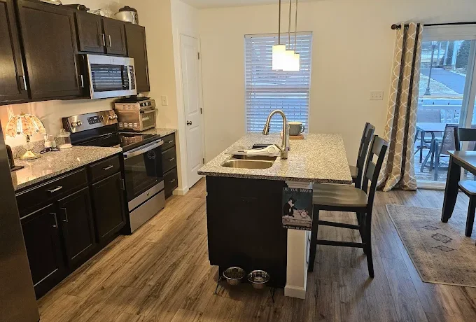 Professional Kitchen Appliance Detailing