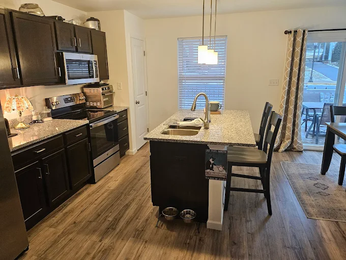 Professional Kitchen Appliance Detailing